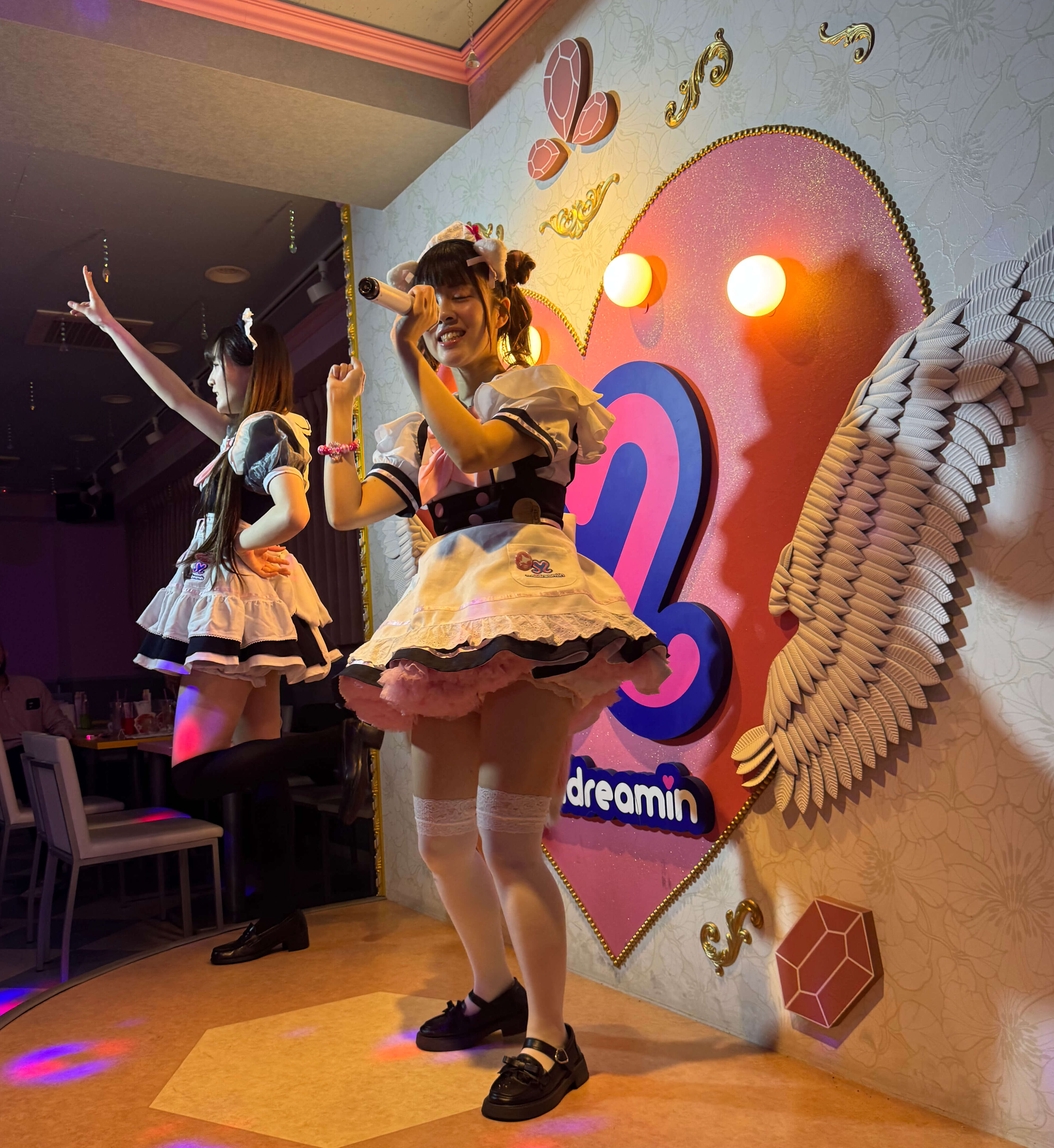 Tour Friki Tokio + Maid Café